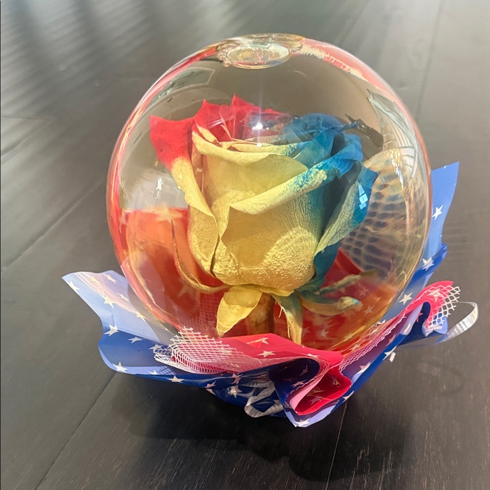 Colorful Preserved Rose Globe